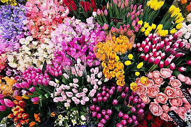 《卧龙：苍天陨落》可召唤神兽作战 朱雀以红莲业火焚敌